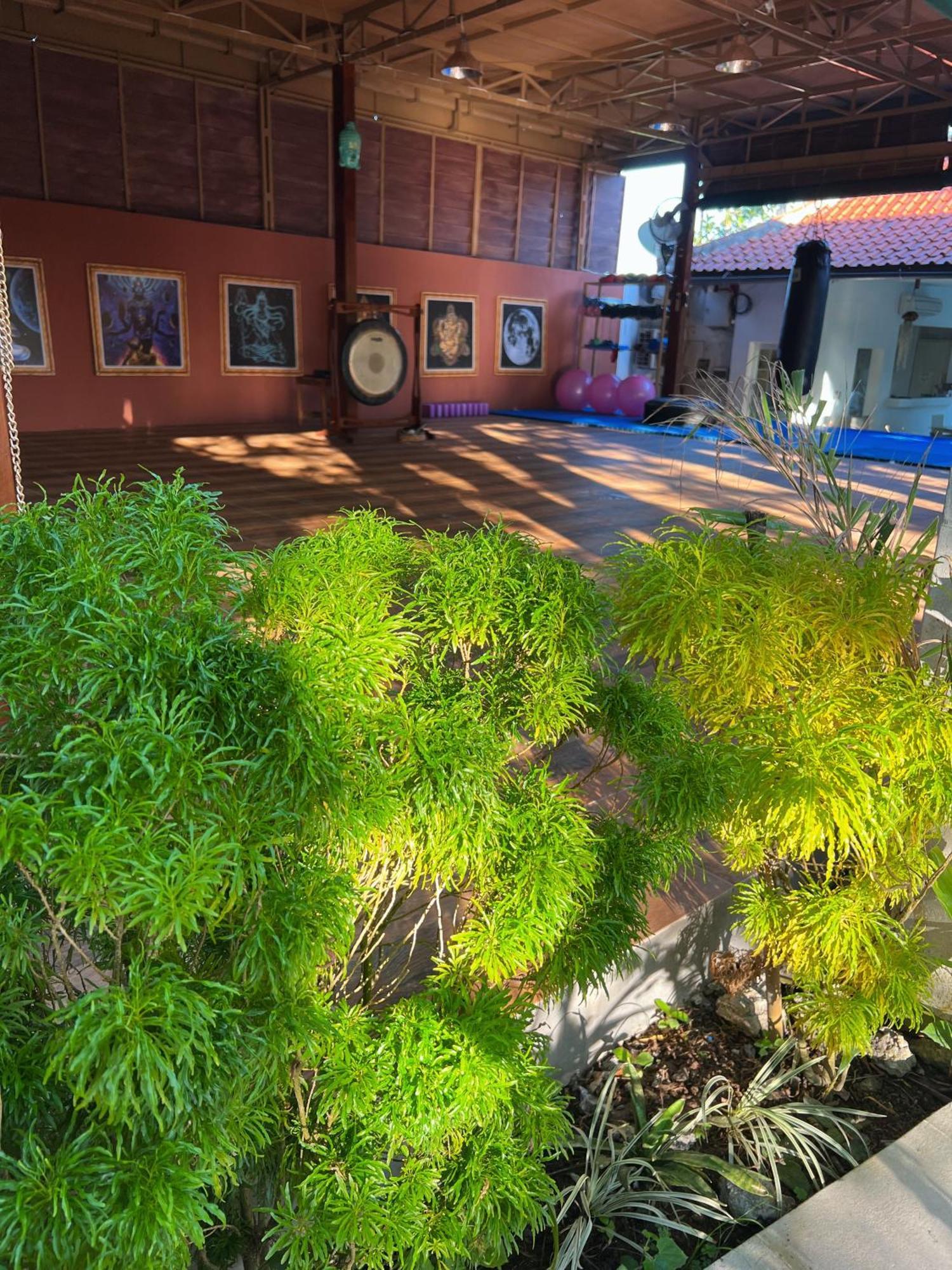 Villa Neshama Canggu Екстериор снимка