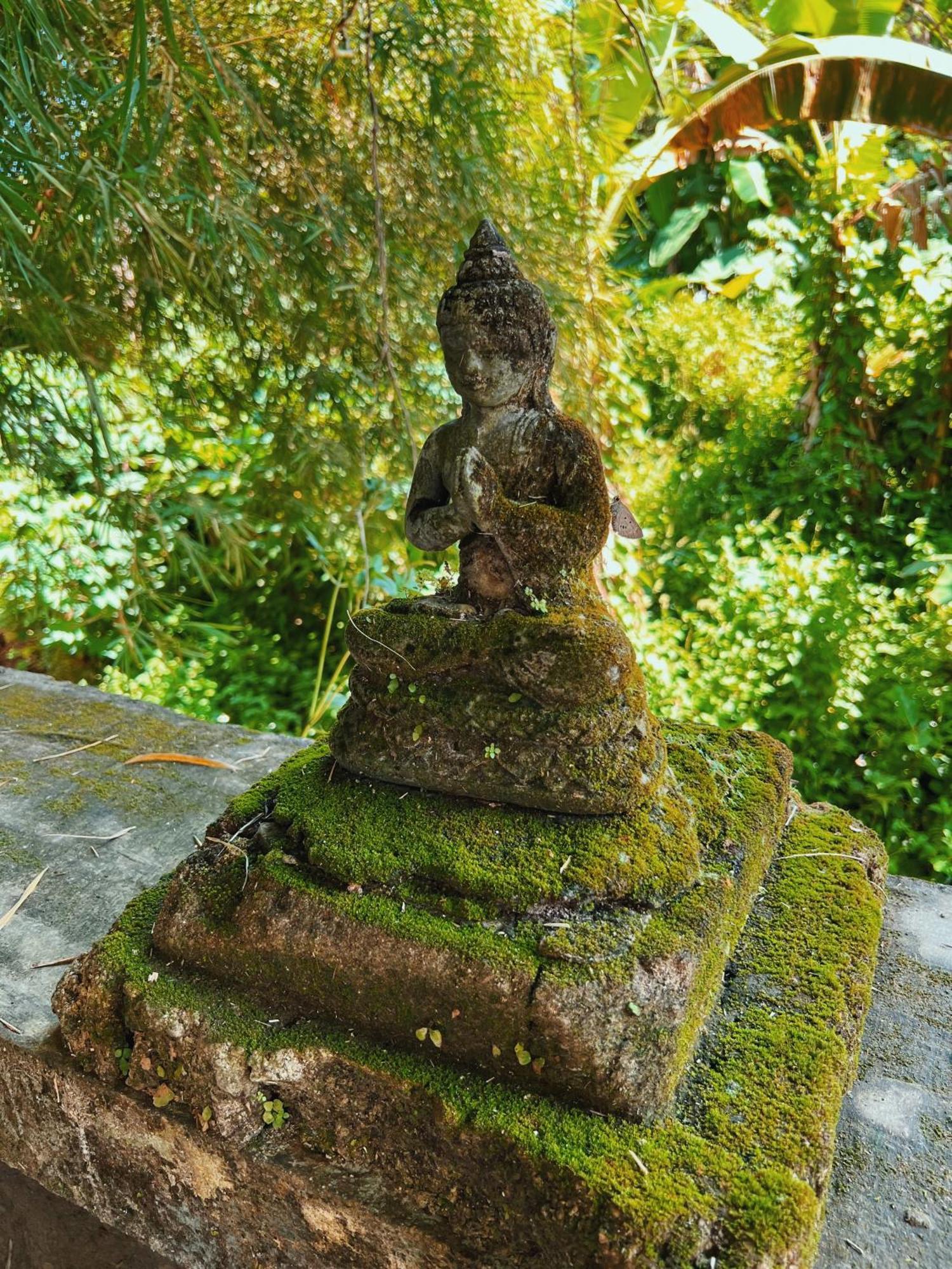 Villa Neshama Canggu Екстериор снимка