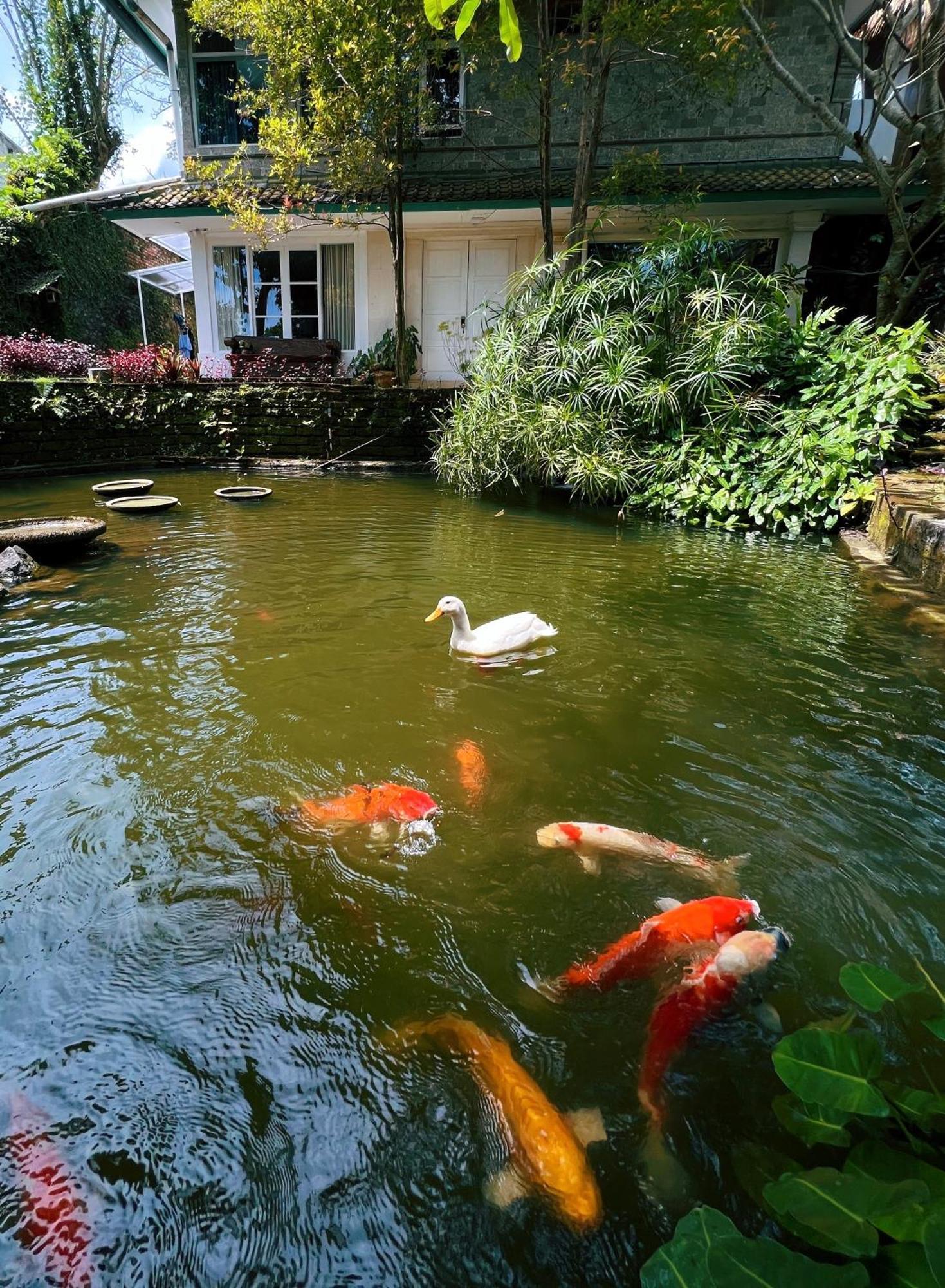 Villa Neshama Canggu Екстериор снимка