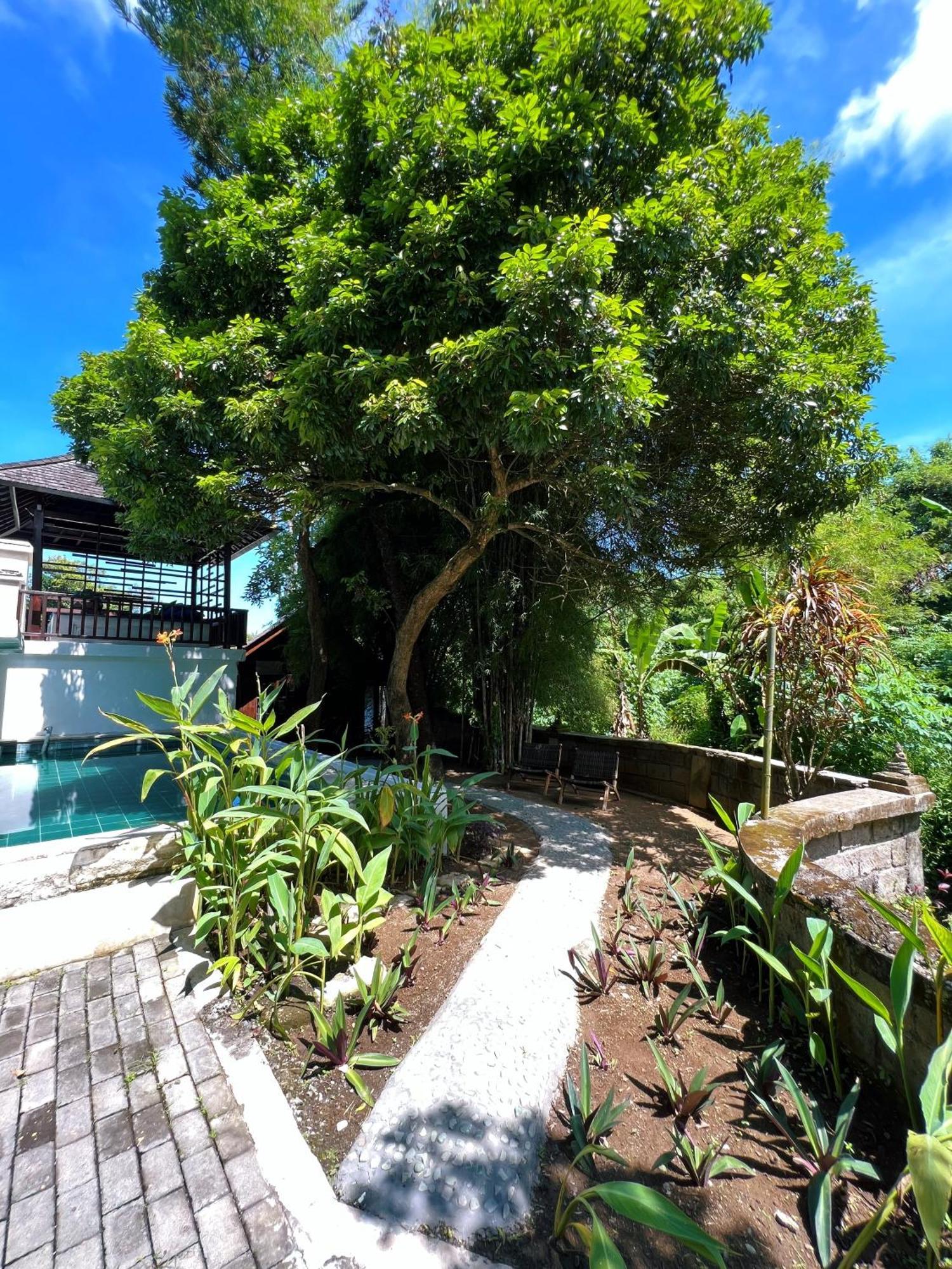 Villa Neshama Canggu Екстериор снимка