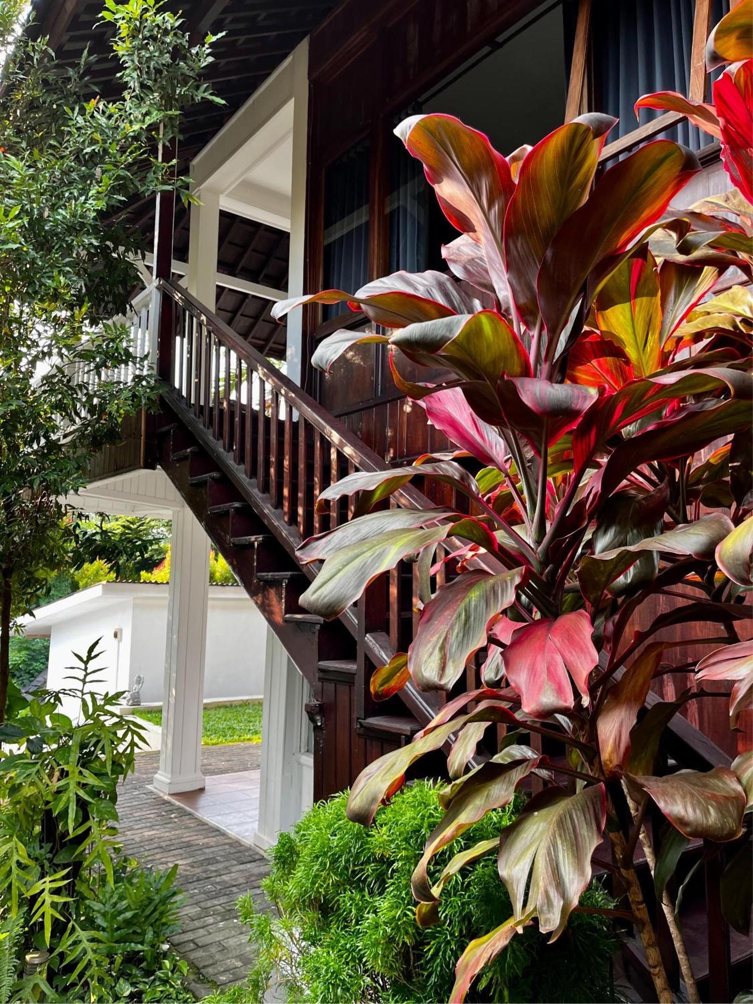Villa Neshama Canggu Екстериор снимка