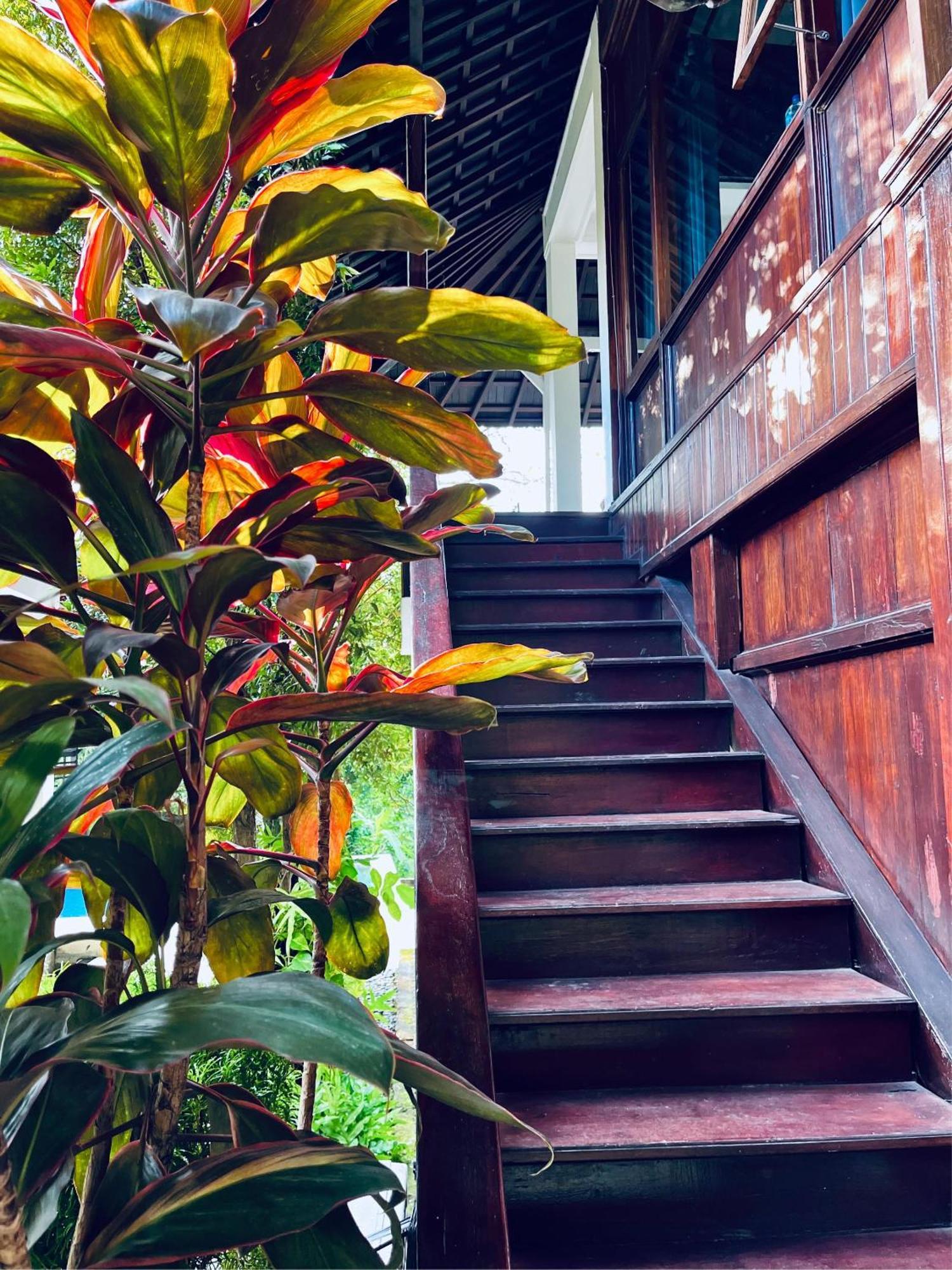 Villa Neshama Canggu Екстериор снимка